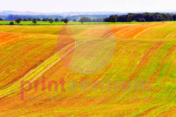 Landschaft mit Feld