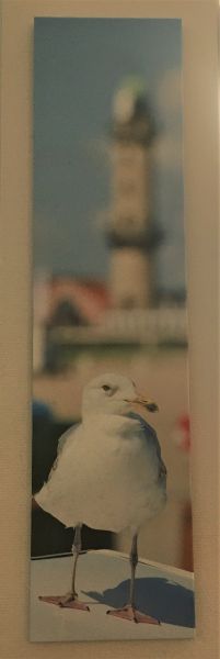 Möwe vor dem Leuchtturm