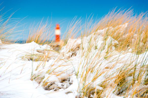 Waremünde Dünen im Winter